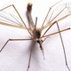 Illustration for article titled Discover the Spider-You!